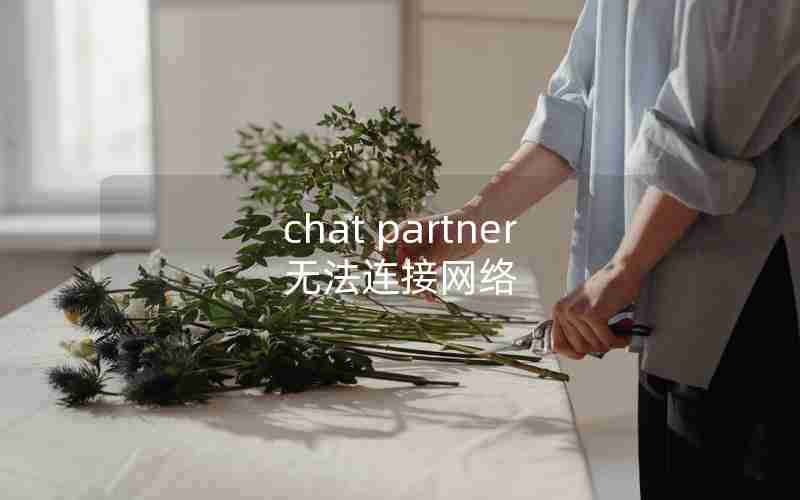 chat partner无法连接网络