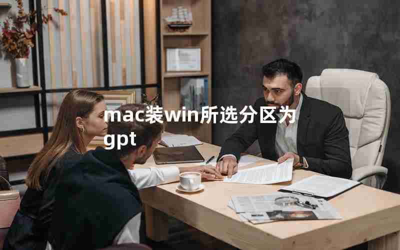 mac装win所选分区为gpt