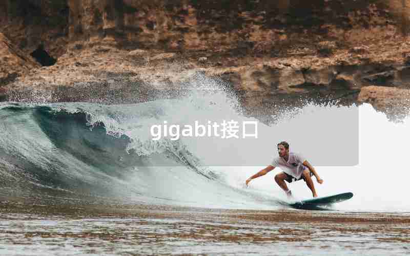 gigabit接口