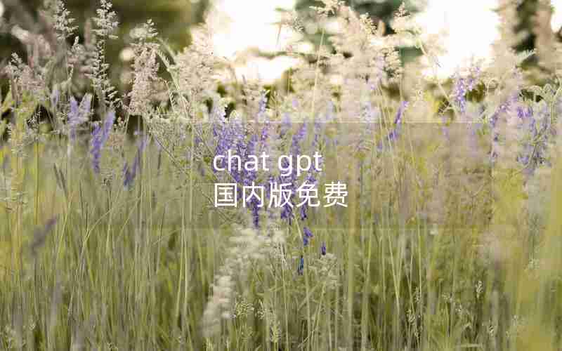 chat gpt 国内版免费