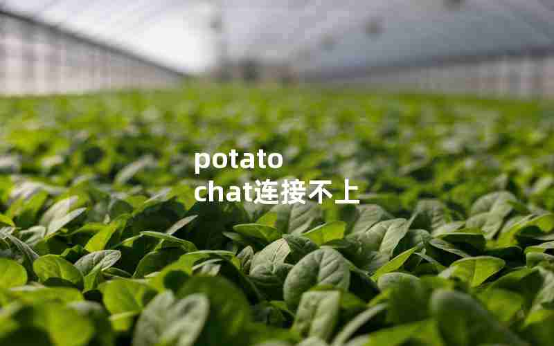 potato chat连接不上