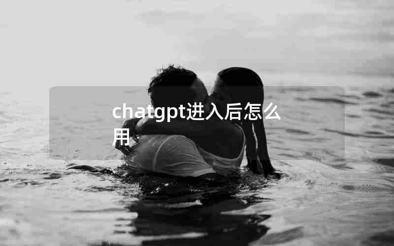 chatgpt进入后怎么用