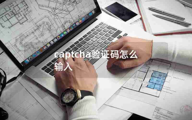 captcha验证码怎么输入