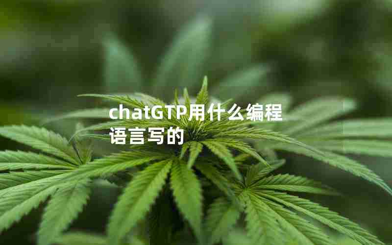 chatGTP用什么编程语言写的