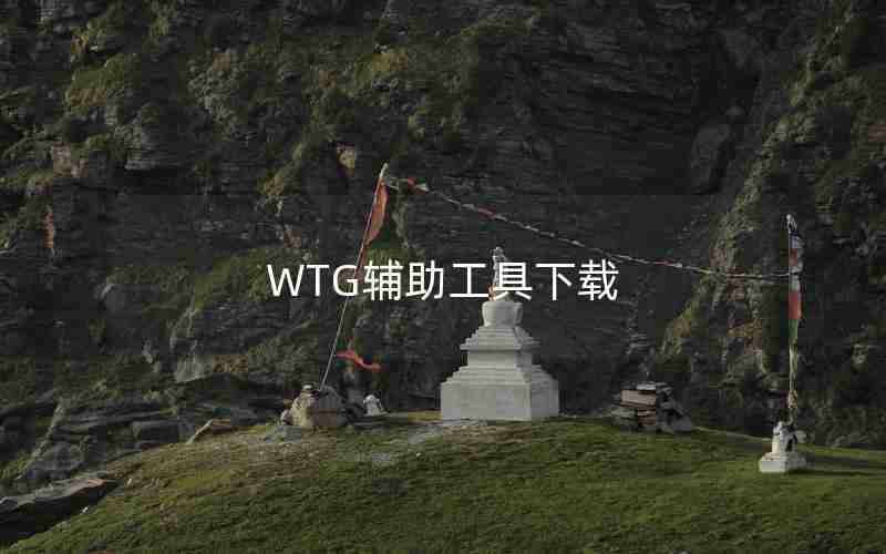 WTG辅助工具下载