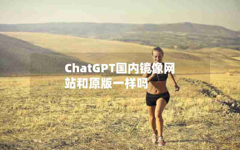 ChatGPT国内镜像网站和原版一样吗