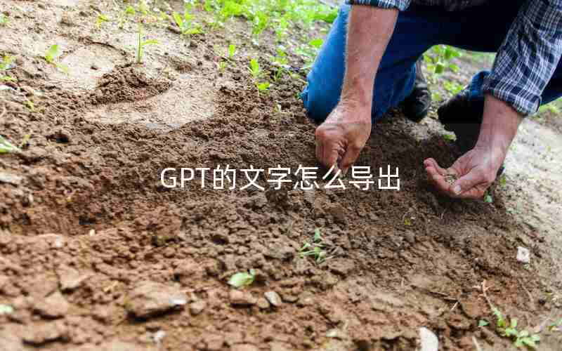 GPT的文字怎么导出