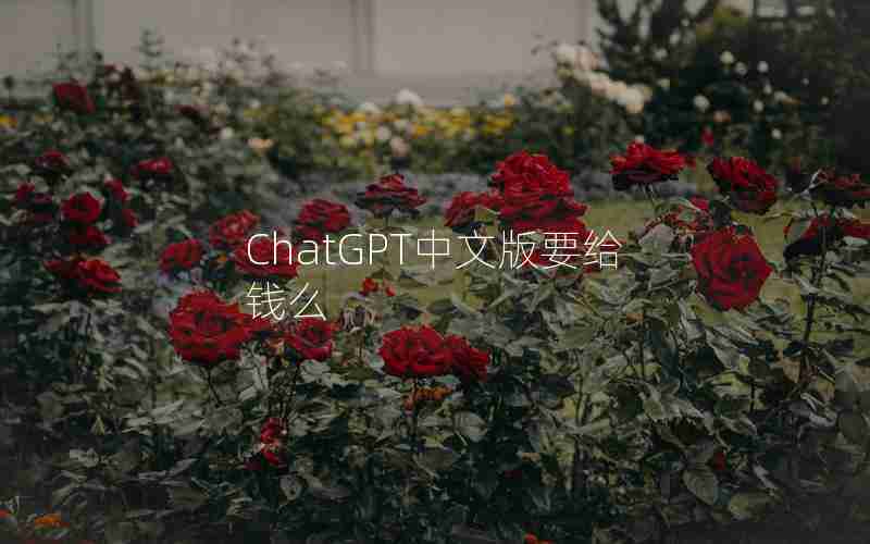 ChatGPT中文版要给钱么