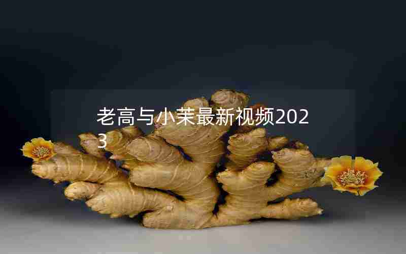 老高与小茉最新视频2023