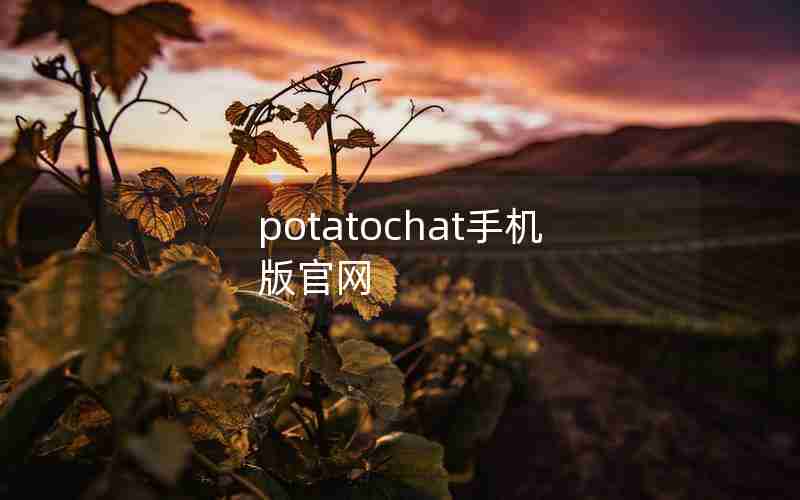 potatochat手机版官网