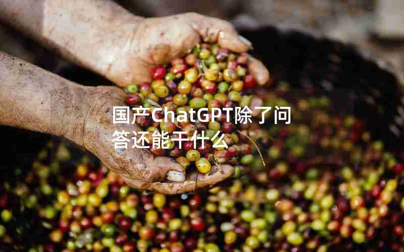 国产ChatGPT除了问答还能干什么