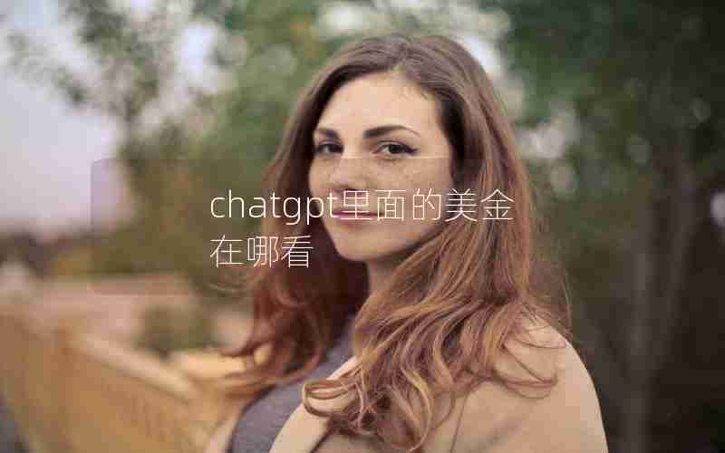 chatgpt里面的美金在哪看