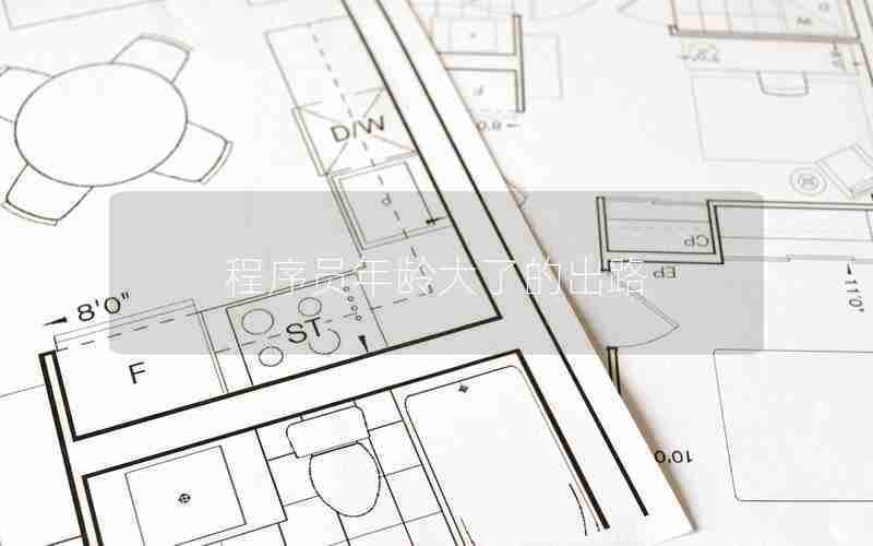 程序员年龄大了的出路