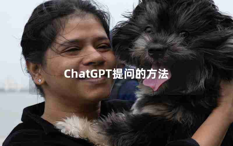 ChatGPT提问的方法