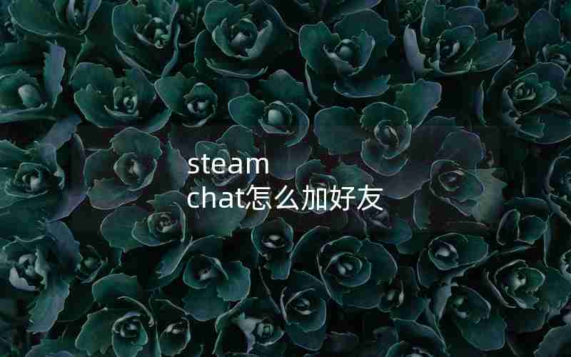 steam chat怎么加好友