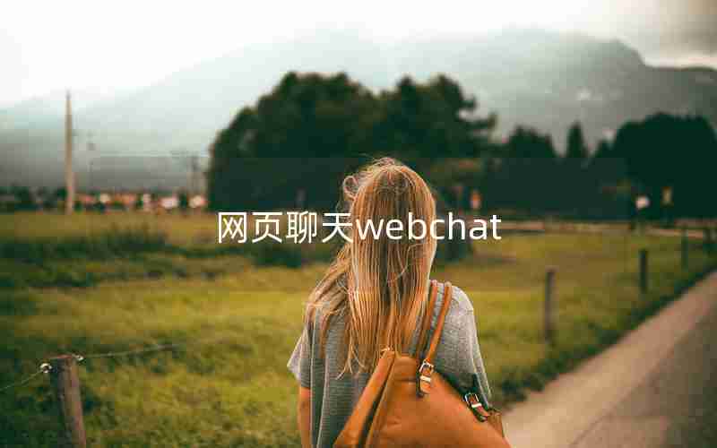 网页聊天webchat