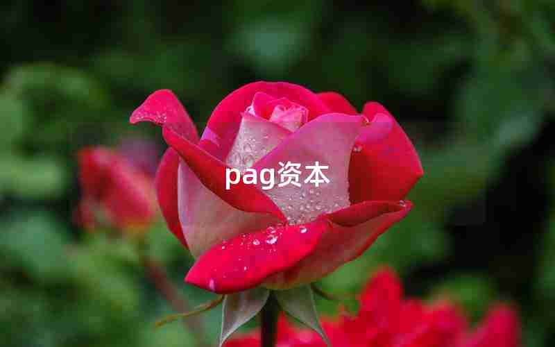 pag资本