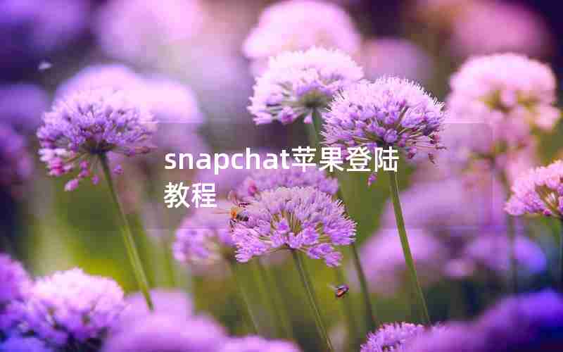 snapchat苹果登陆教程