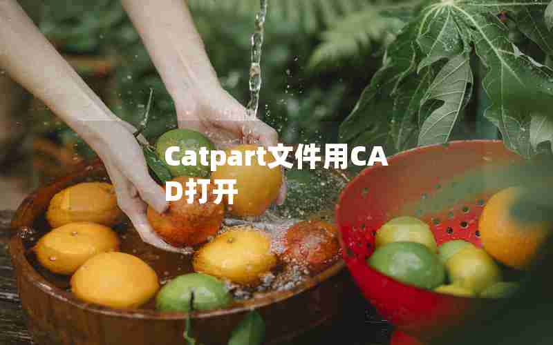 Catpart文件用CAD打开