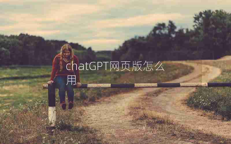 chatGPT网页版怎么用