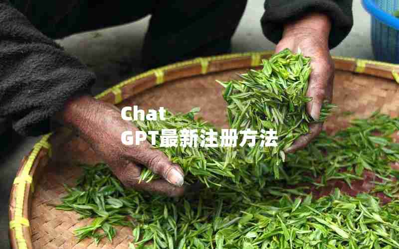 Chat GPT最新注册方法