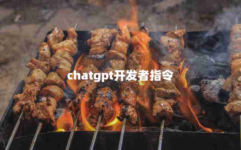 chatgpt开发者指令