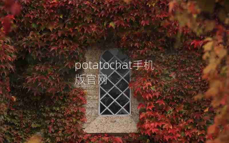 potatochat手机版官网