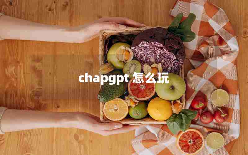 chapgpt 怎么玩