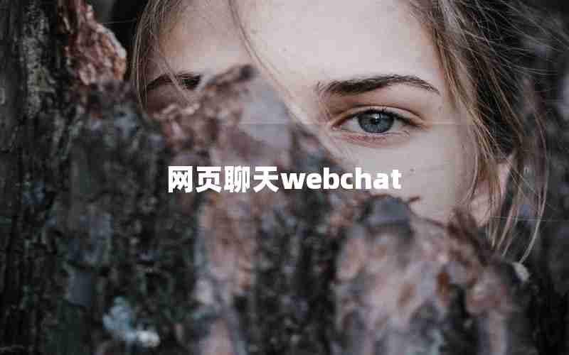 网页聊天webchat