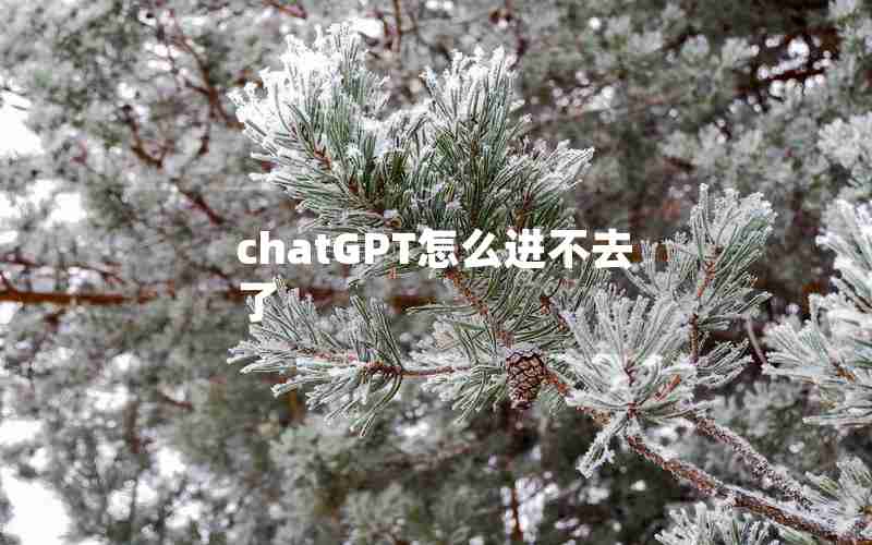 chatGPT怎么进不去了