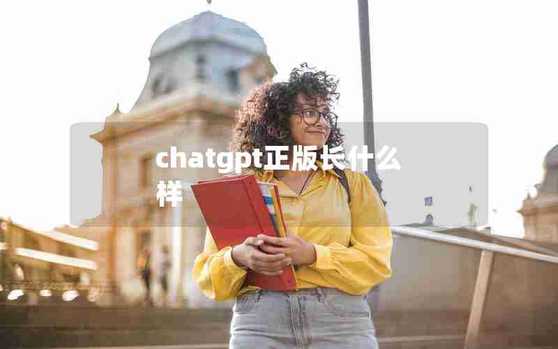 chatgpt正版长什么样