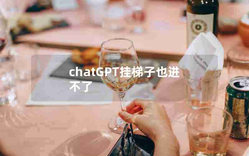 chatGPT挂梯子也进不了