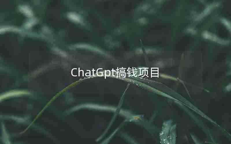 ChatGpt搞钱项目