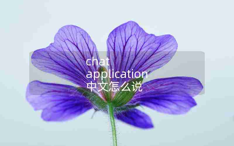 chat application 中文怎么说