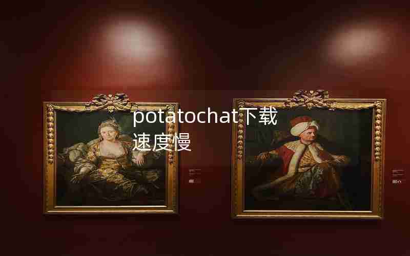 potatochat下载速度慢