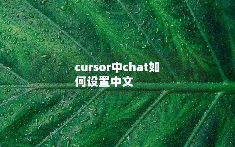 cursor中chat如何设置中文