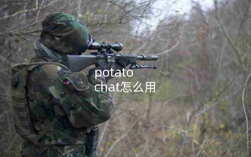 potato chat怎么用