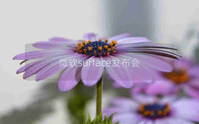 微软surface发布会