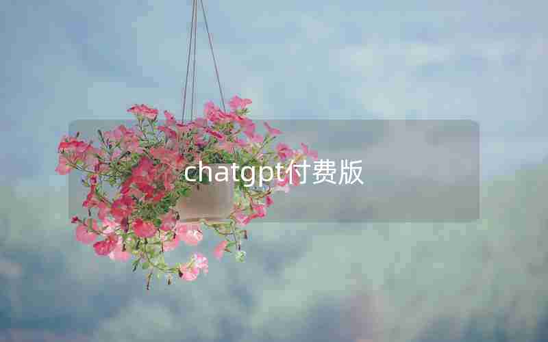 chatgpt付费版