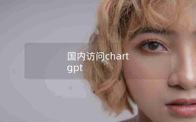 国内访问chart gpt