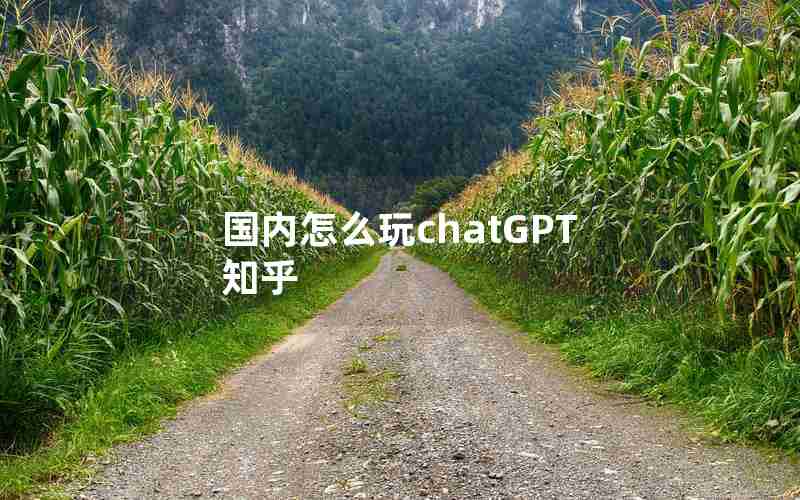 国内怎么玩chatGPT知乎