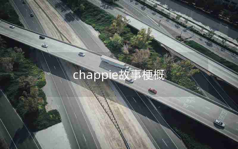 chappie故事梗概