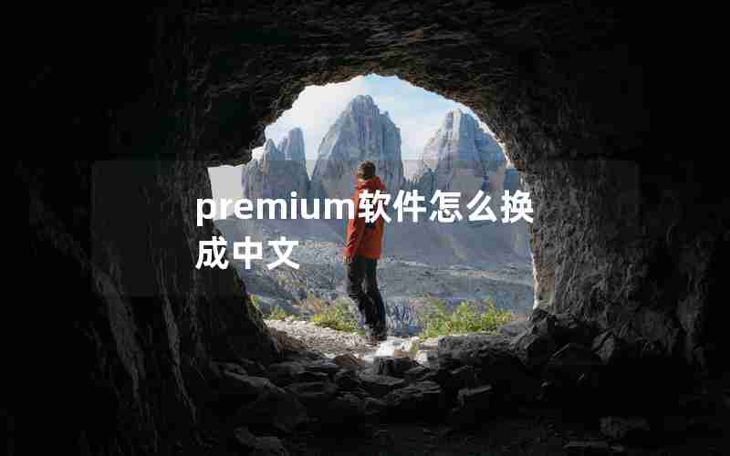 premium软件怎么换成中文