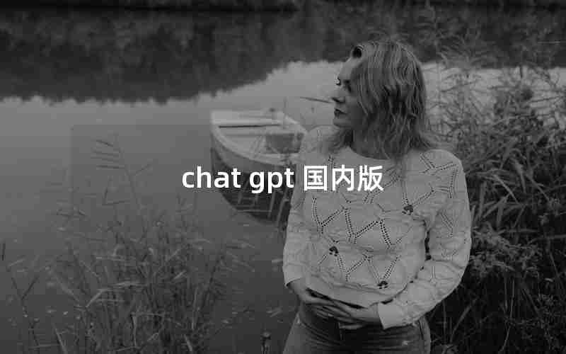 chat gpt 国内版