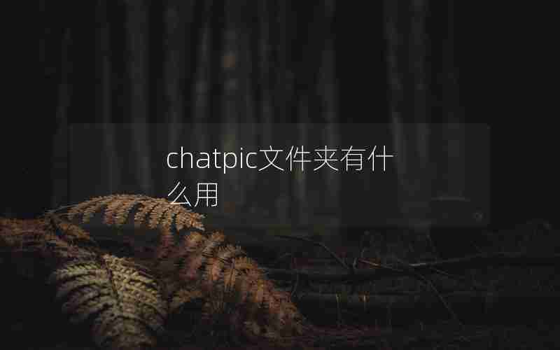 chatpic文件夹有什么用