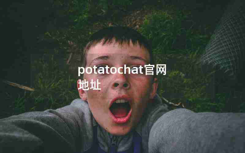 potatochat官网地址