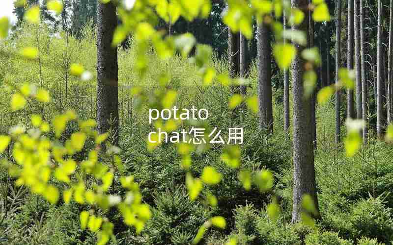 potato chat怎么用