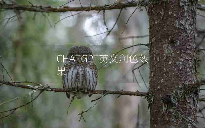 CHATGPT英文润色效果