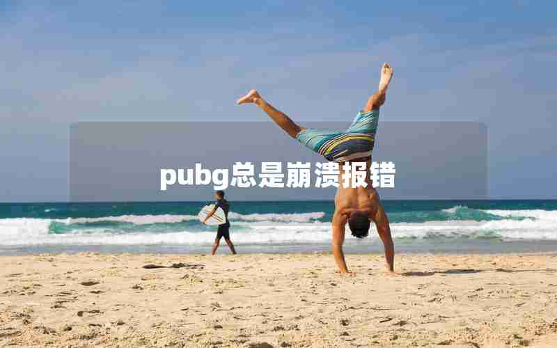 pubg总是崩溃报错