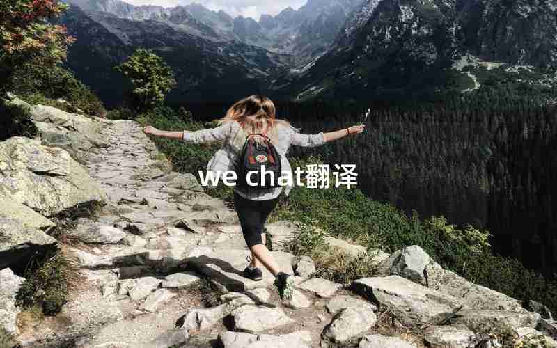 we chat翻译